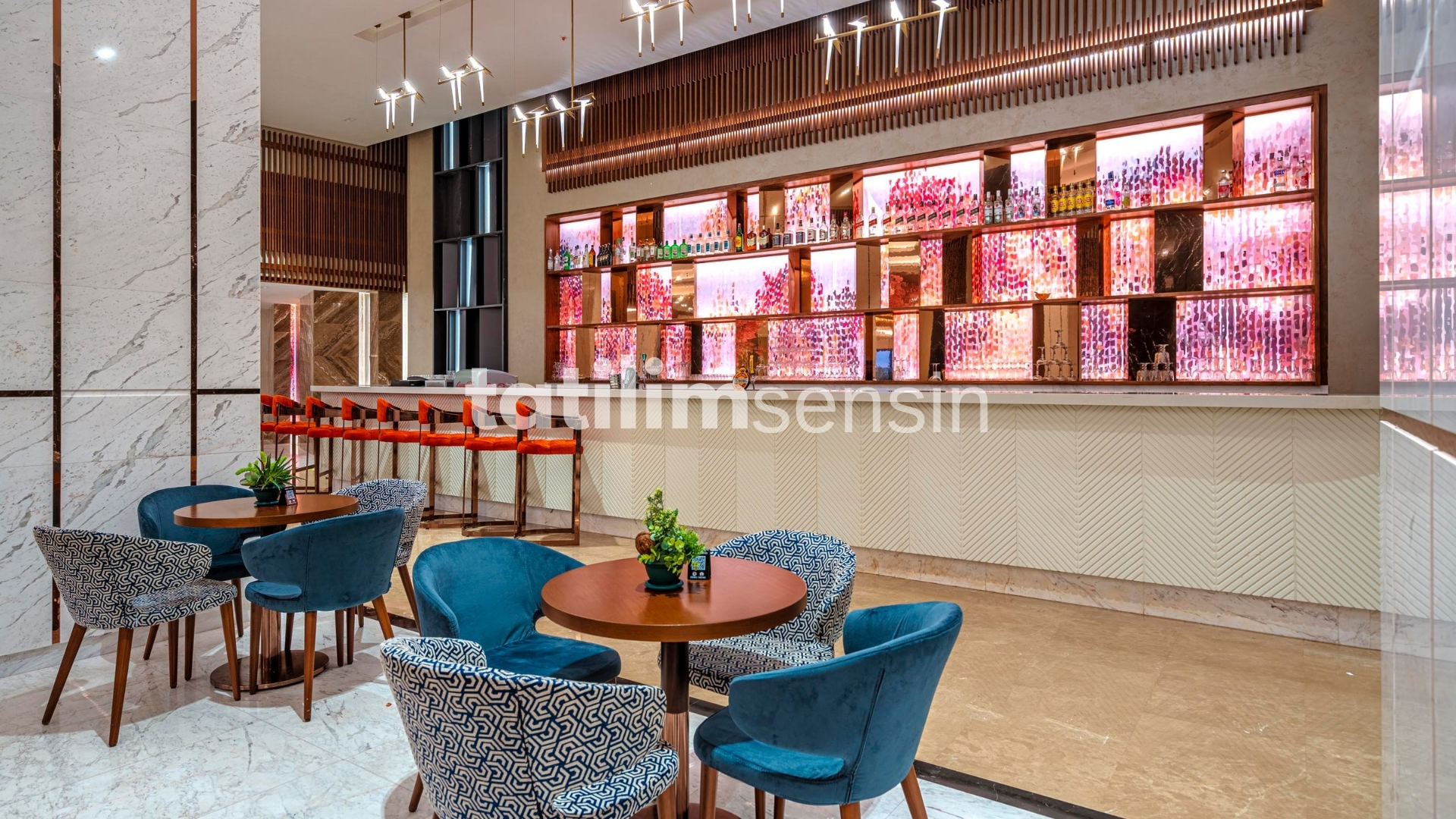 Calyptus Kirman Premium - 15