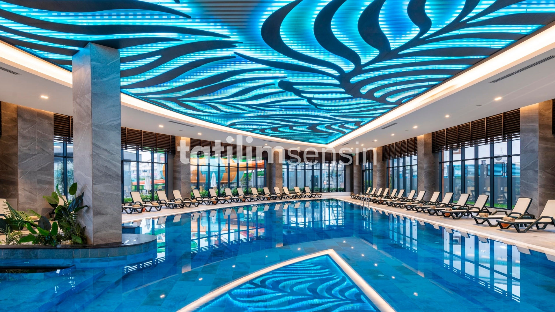 Calyptus Kirman Premium - 11