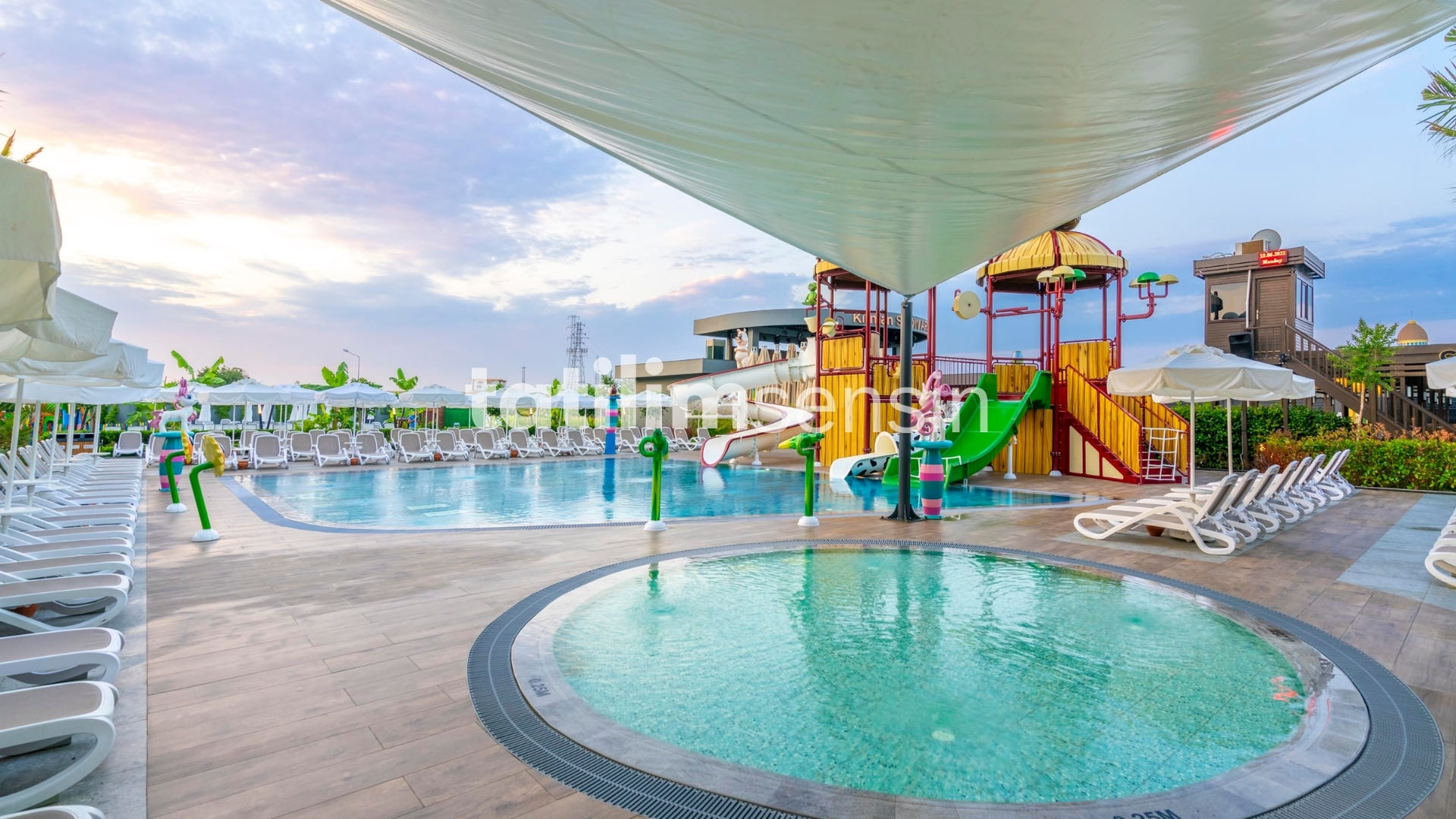 Calyptus Kirman Premium - 12