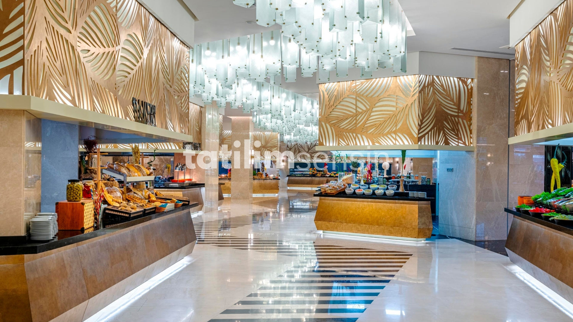 Calyptus Kirman Premium - 18