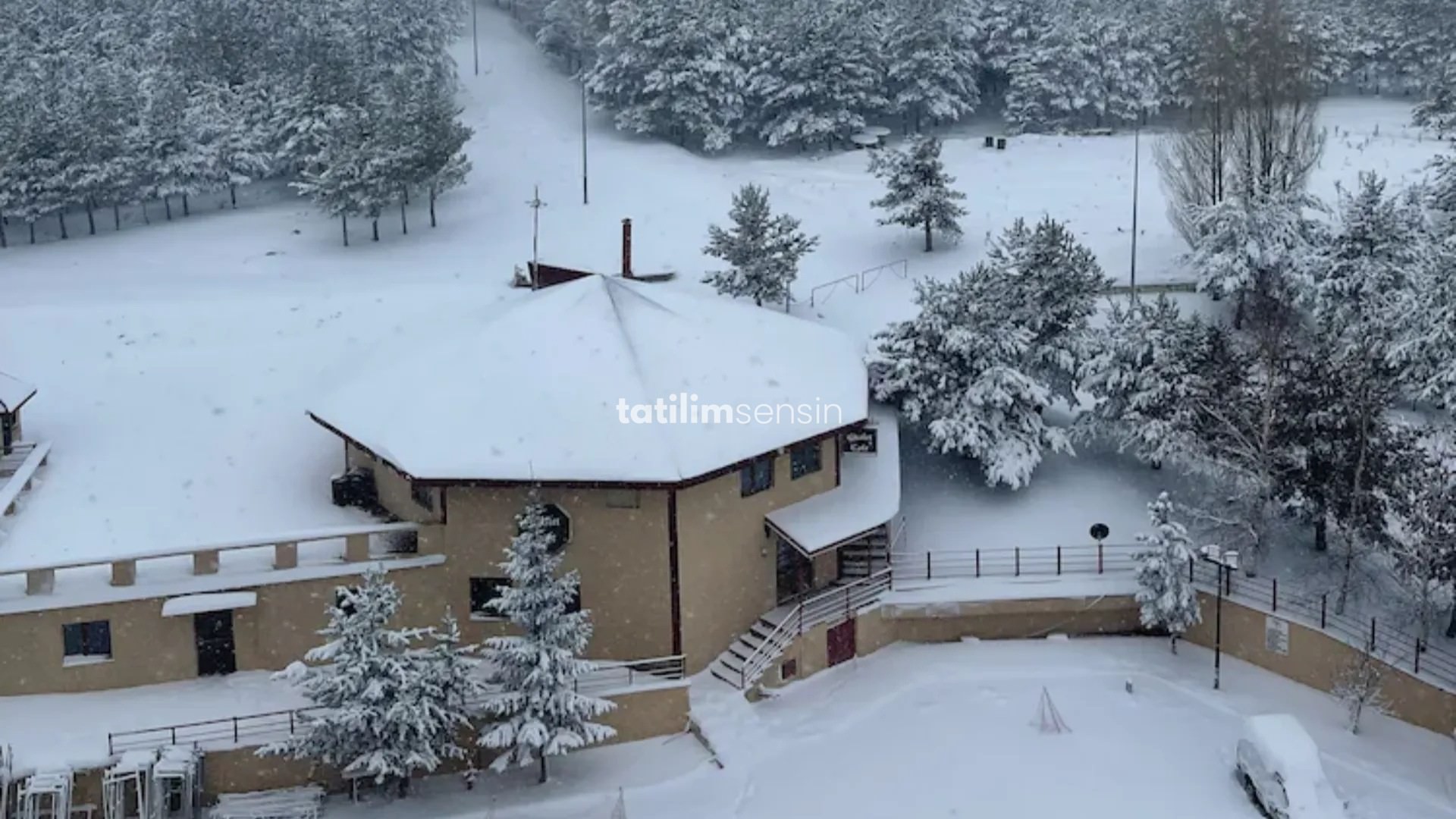 Polat Palandöken - 7