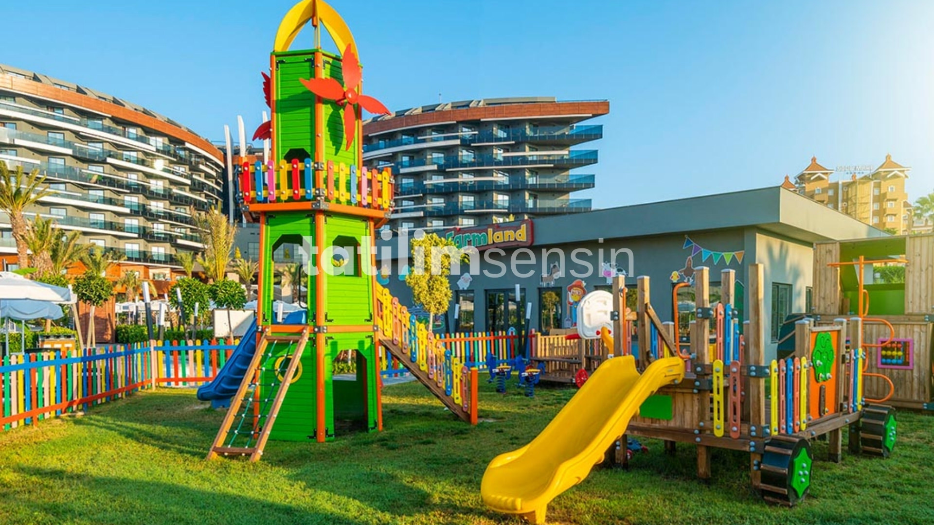 Calyptus Kirman Premium - 7