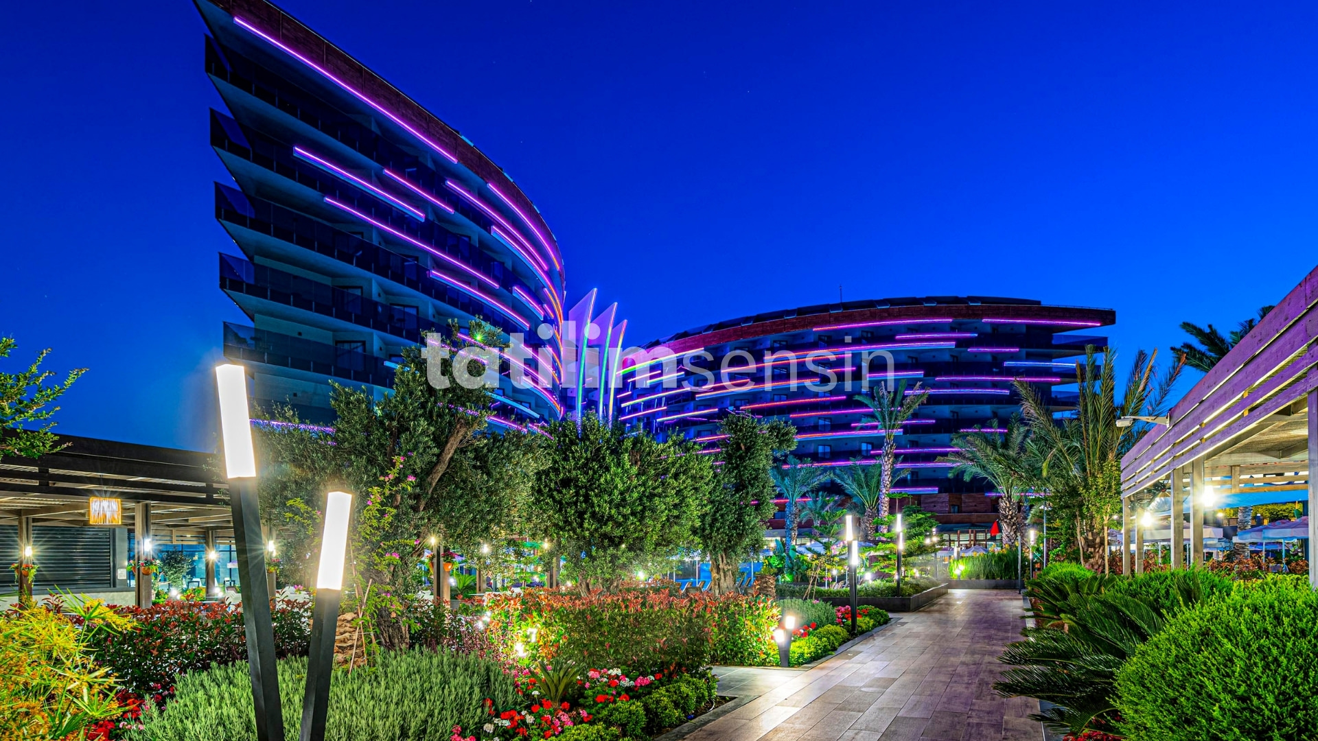 Calyptus Kirman Premium - 10