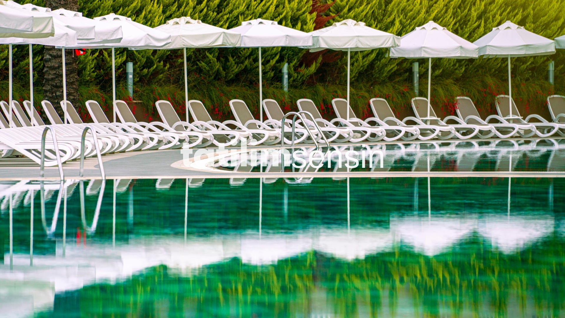 Leodikya Kirman Premium - 9