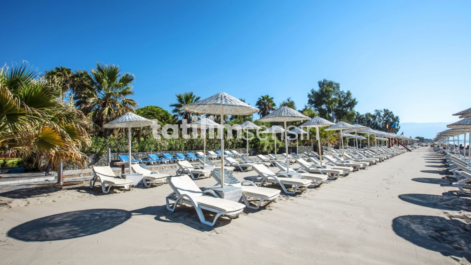 Atlantique Holiday Club - 5