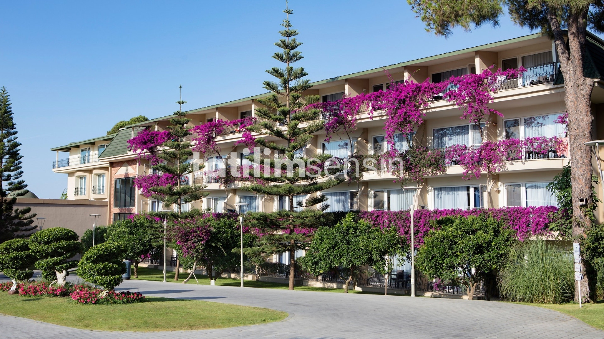 Pine Beach Belek - 4