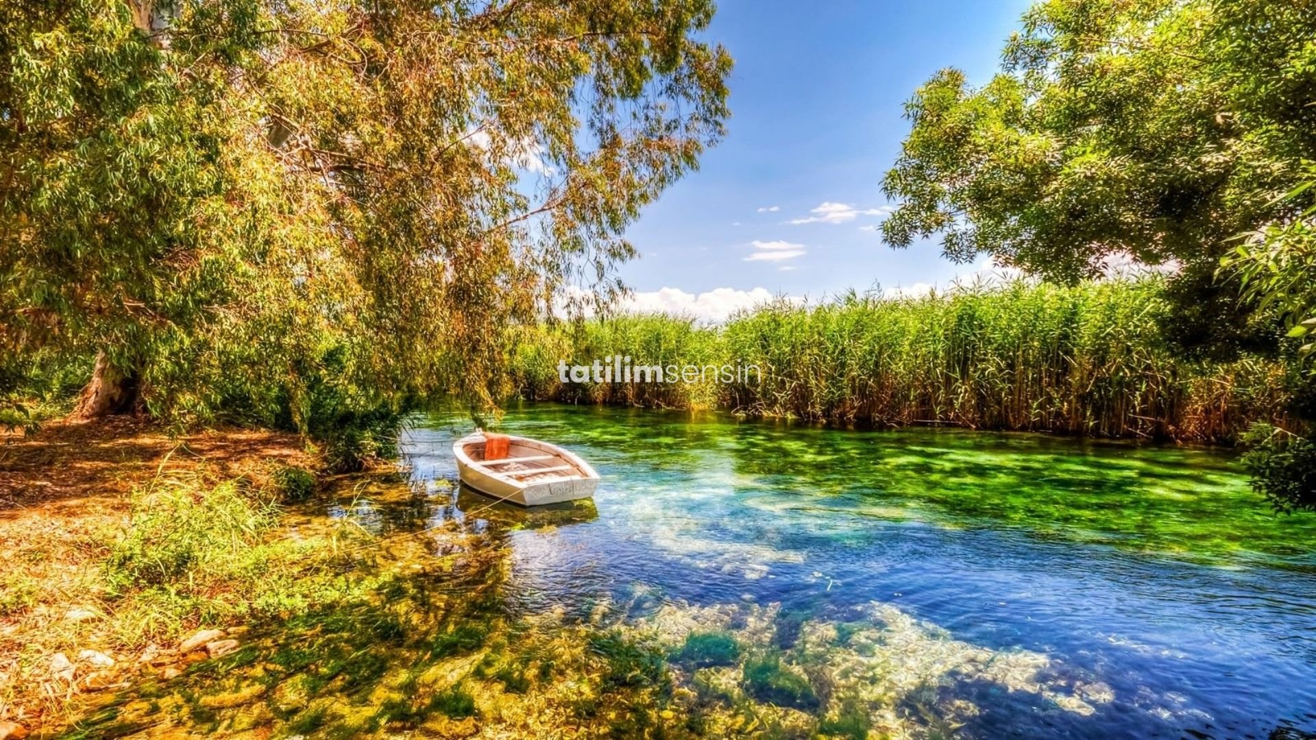 Marmaris Gökova Dalyan Turu (İstanbul Hareketli) - 4