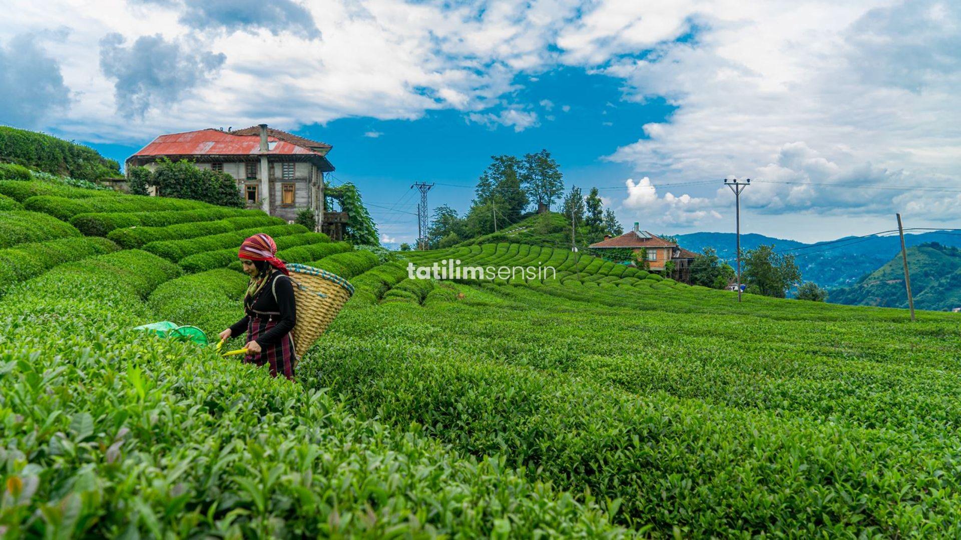 Karadeniz Rüzgarı Ve Batum Turu (İstanbul Otobüs Hareketli) - 3