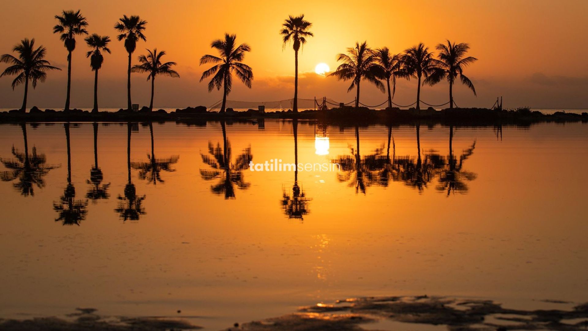 Miami Orlando Turu - 9