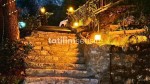Fotoğraf Galerisi