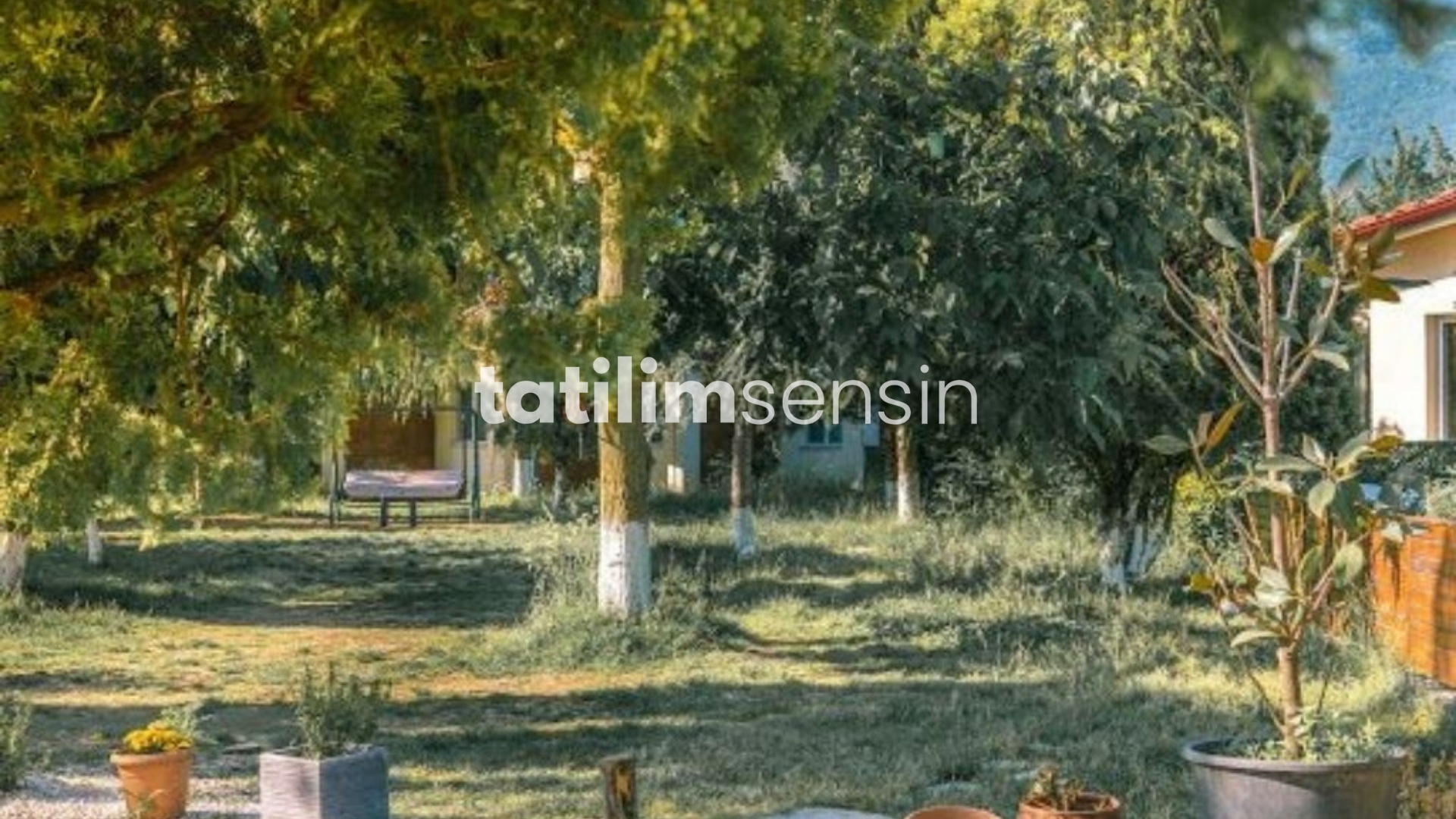 Alex Village Life Otel - 11