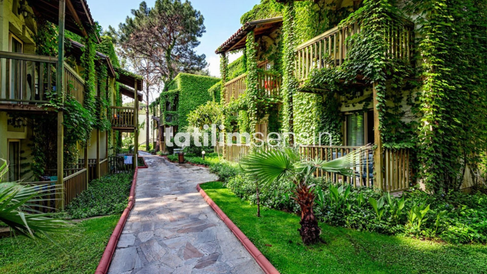 Gypsophila Club Marine Otel Kemer - 17