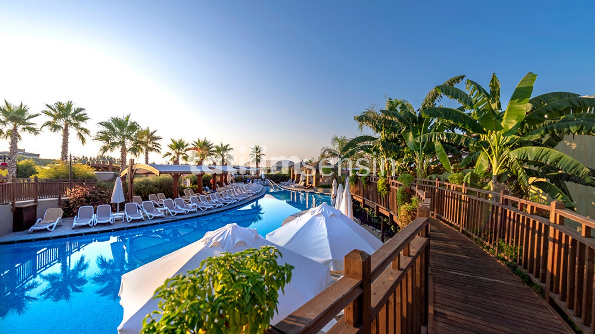 Adalya Elite Lara - 9