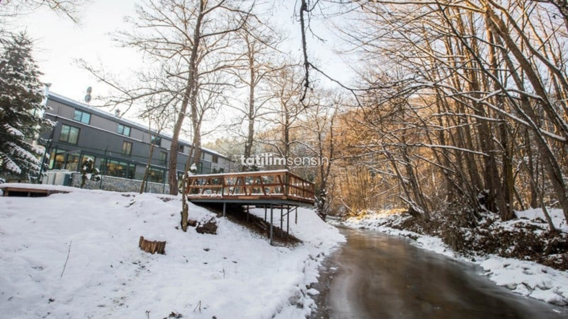 Abant Lotus Hotel - 3