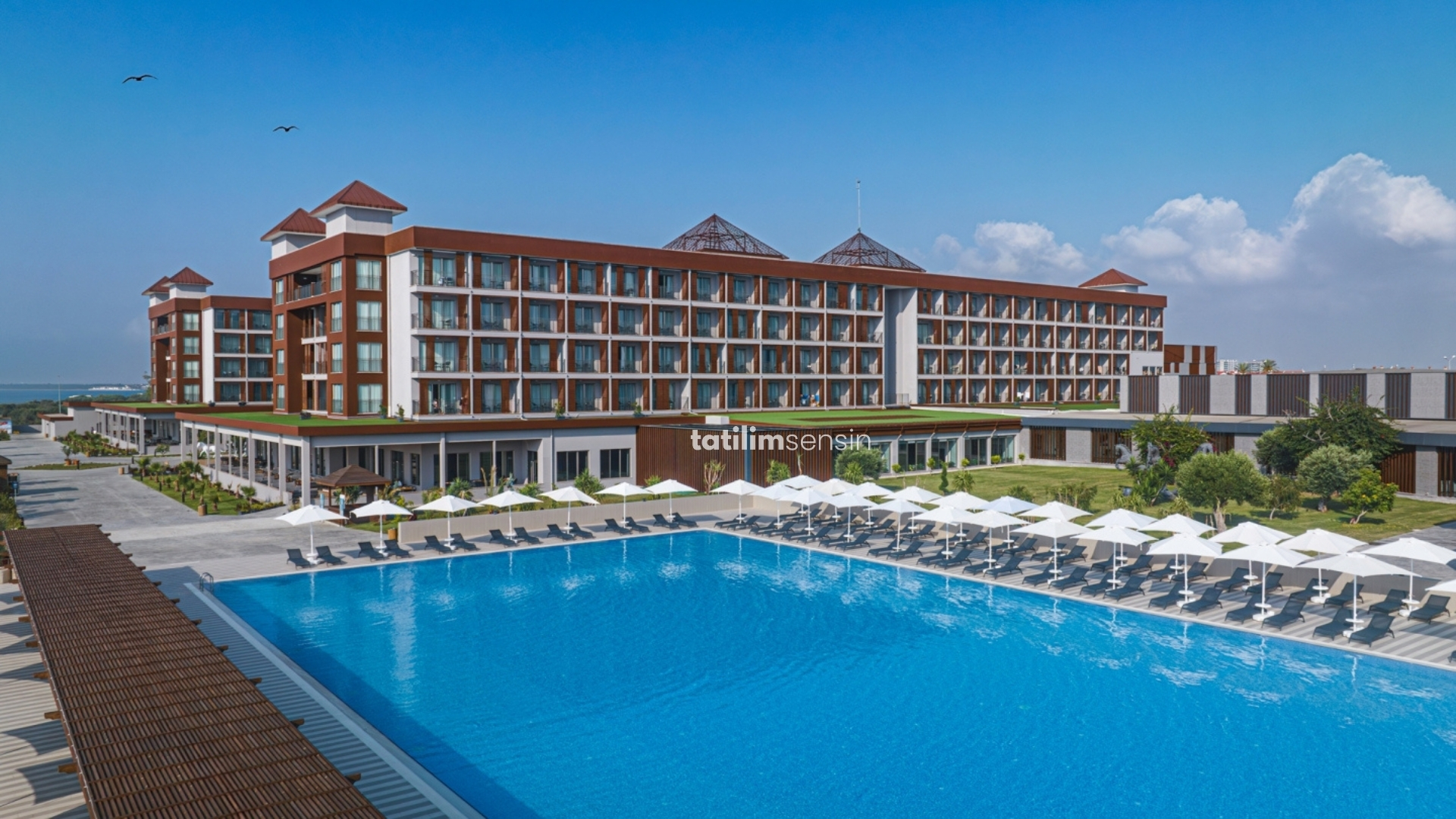 The Arkın İskele - 8