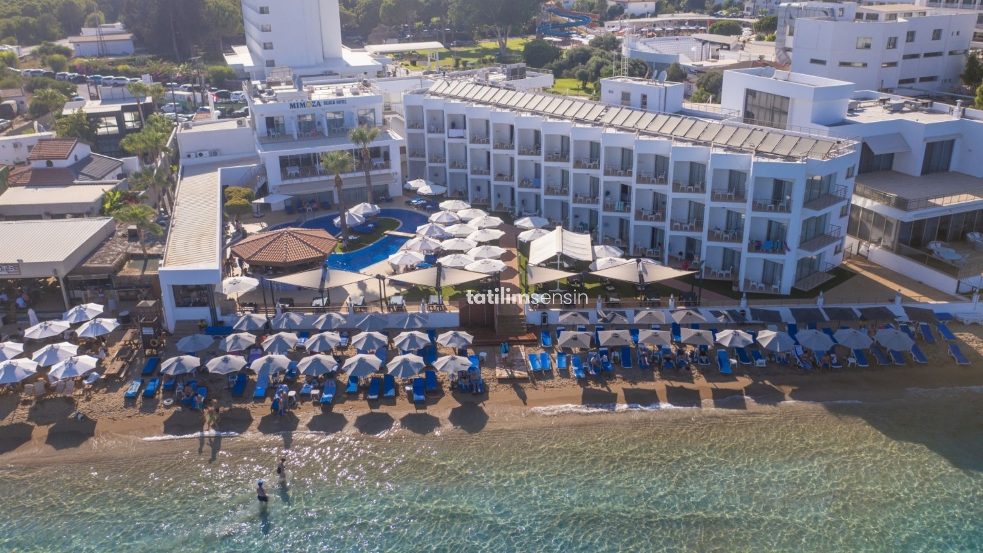 Mimoza Beach Hotel - 1